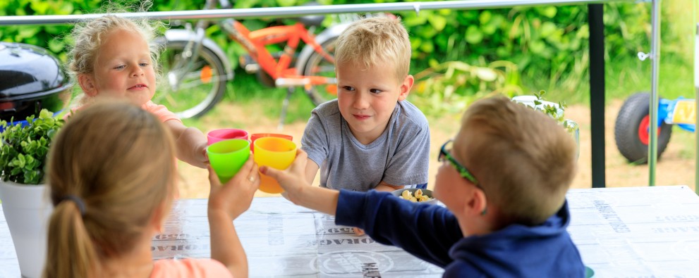Kindercamping in Burgh-Haamstede Camping Ginsterveld