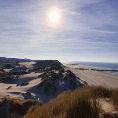 Westenschouwen, strand, bos