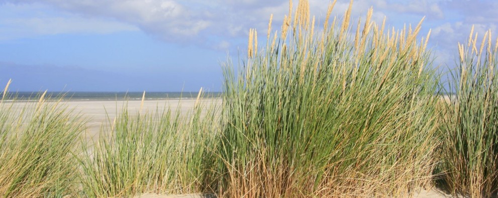 Zomer in Zeeland
