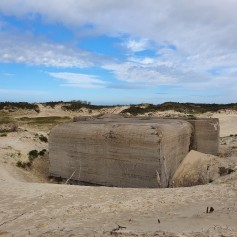 Nieuw-Haamstede -meeuwenduinroute -bunker.jpg