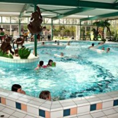 Overdektzwembad in Burgh-Haamstede Camping Ginsterveld
