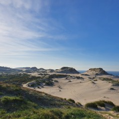 Westenschouwen-bosrand, duinen en strand