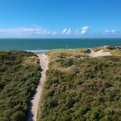 Camping Ginsterveld omgeving