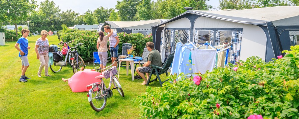 Camping in Burgh-Haamstede - Ginsterveld