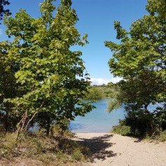 Westenschouwen- bos -meertje.jpg