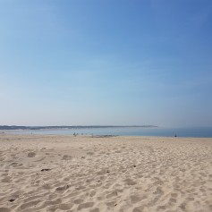 Brouwersdam strand