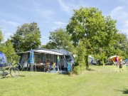 Ruime kampeerplaats Camping Ginsterveld