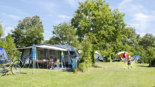 Ruime kampeerplaats Camping Ginsterveld