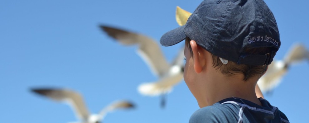 Jongetje uitkijkend naar meeuwen in Zeeland