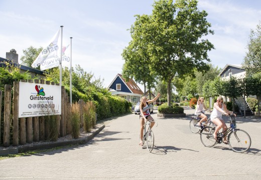 Ingang Camping Ginsterveld Burgh-Haamstede 2015