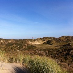 Natuur in Zeeland