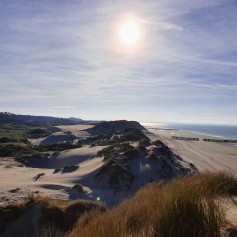 Westenschouwen- bosrand-duinen en strand.jpg