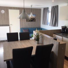 Luxe Chalet 4 persoons woonkamer