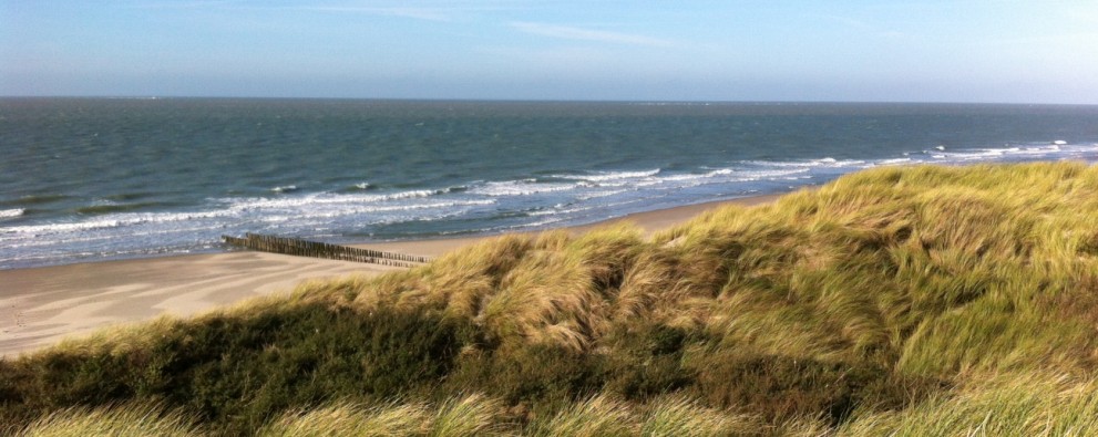Zee, strand en Duinen