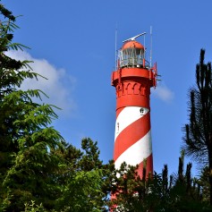 Vuurtoren Nieuw-Haamstede - Ginsterveld