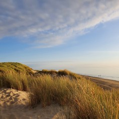Ouddorp -strand.jpg